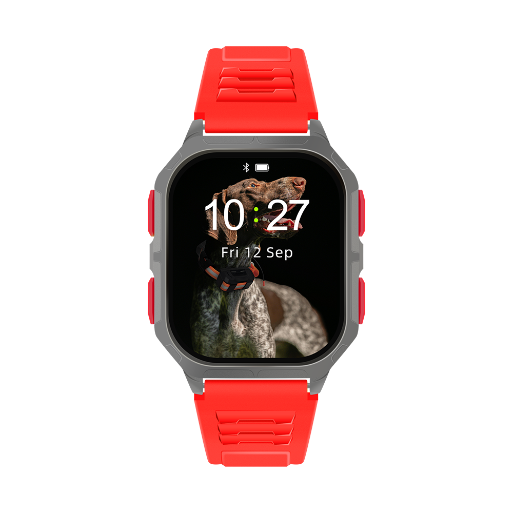 Jam Berburu